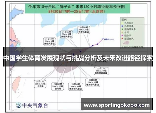 中国学生体育发展现状与挑战分析及未来改进路径探索