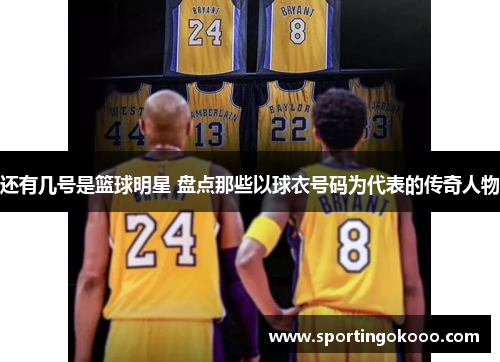 还有几号是篮球明星 盘点那些以球衣号码为代表的传奇人物